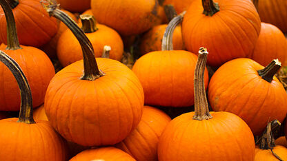 Healthy pumpkin spice latte